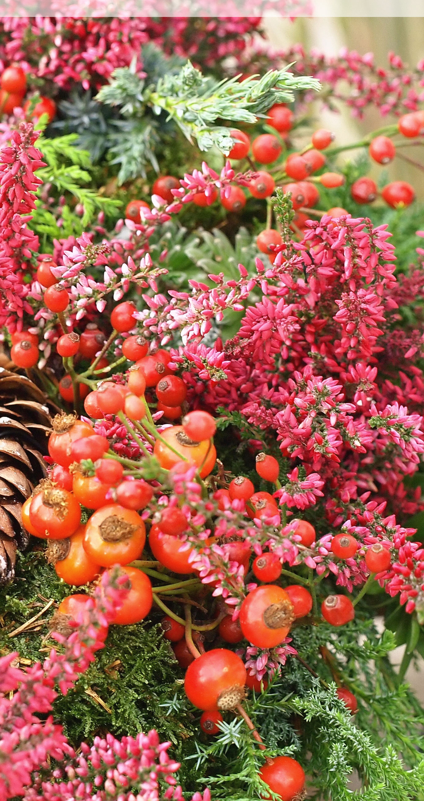 blumen hiendl